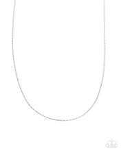 Load image into Gallery viewer, Stainless Sensei - Silver
